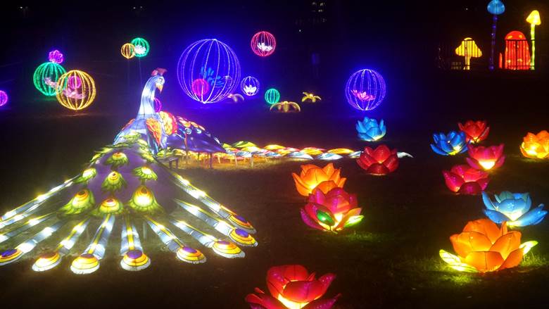 Novi Sad, Kineski festival svetla, Srbija